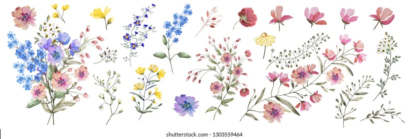 Field flowers.  Watercolor illustration. Botanical collection of wild and garden plants. Set: different wild flowers, pink, blue, yellow, leaves, bouquets,branches, buds, herbs .