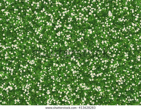 ヒナギクの花が咲く草原 カモミールは芝生に囲まれている 平面図 高解像度の3dイラスト のイラスト素材
