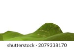Field of green grass, 3d render. Landscape with a hill isolated on a white background. The texture of green lawn grass