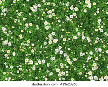 Field Of Green Grass With Flowers Daisies. Chamomile Is Surrounded By Lawn. Top View. High Resolution 3d Illustration