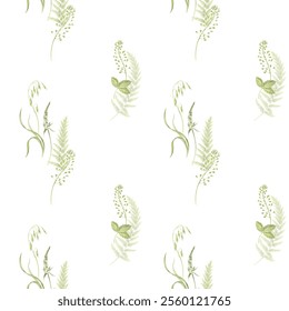 Field herbs in a seamless pattern. A simple pattern with green leaves. All elements are hand drawn and isolated from the background