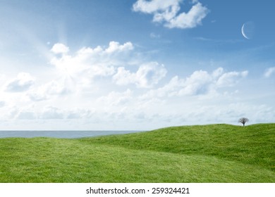 Field and sky with copy space