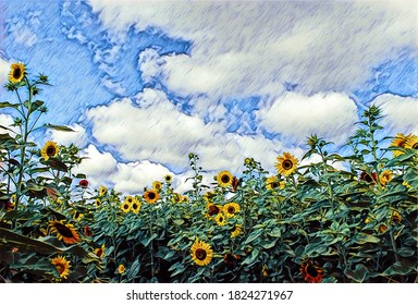 Field Of Sunflowers, Southern Maryland