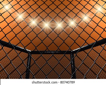 Fight Cage , 3d Illustration