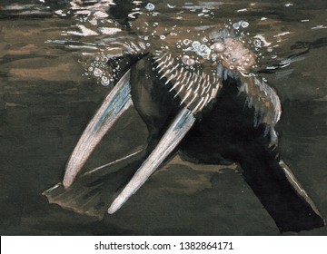 The Figure Of The Tusks Of Seals Swimming Under Water.