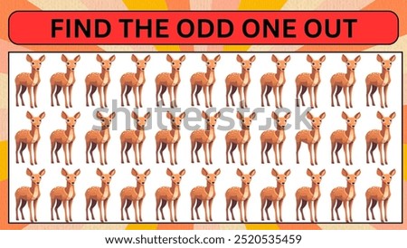 Find the odd one out 
