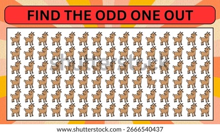 find the odd one out 