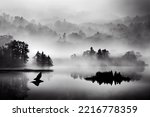 Fine art, black and white landscape photograph with birds in misty lakes illustration