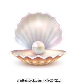 Finest Quality Beautiful Natural Open Pearl Shell Close Up Realistic Single Valuable Object Image  Illustration 