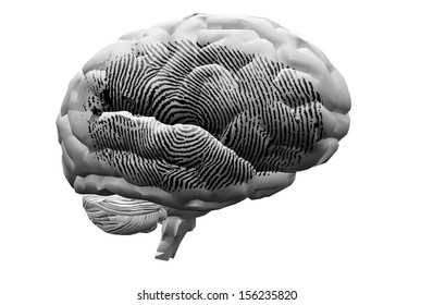 Finger Print On Brain