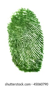 Fingerprint Of Grass