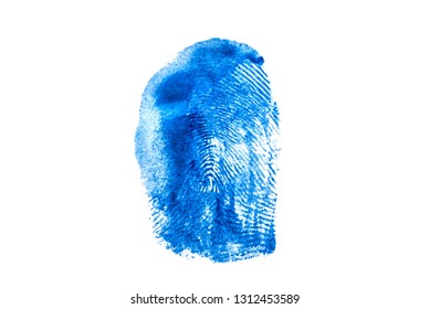 Fingerprint Texture Blue Paint On White Stock Illustration 1312453589 ...