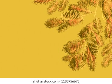 Fir branch. Watercolor illustration. Winter template with copy space. - Shutterstock ID 1188756673