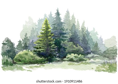 Fir Tree Forest Watercolor Image. Hand Drawn Relistic Lush Pine Illustration. Evergreen Natural Spruce Trees And Bushes. Green Forest Plant Background. Christmas Tree And Bushes On White Background.