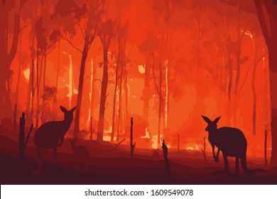 Fire in Australia. Forest fires with silhuette of wild animals kangaroo. Pray for Australia.