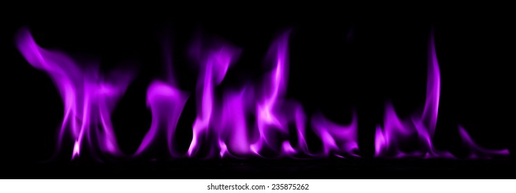 Fire Flames Purple On Black Background Stock Illustration 235875262 ...