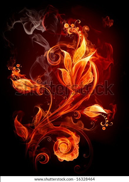 Fire Flower のイラスト素材