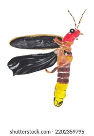 Firefly Insect Gouache Illustration Hand Painted Artwork Isolated On White Background