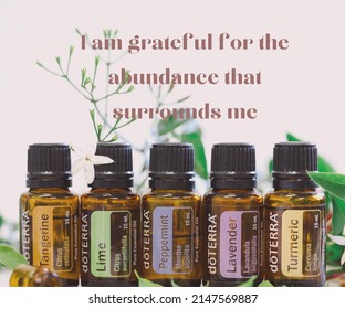 Firefly NSW Australia- 18 April 2022: Daily Affirmation Quote Graphic Featuring Doterra Essential Oils