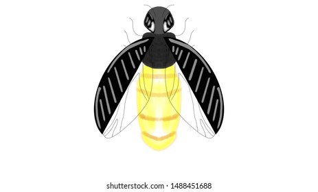 354 Male firefly Images, Stock Photos & Vectors | Shutterstock