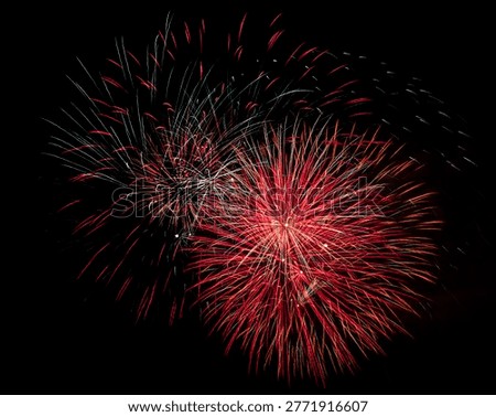 Fireworks exploding in the night sky