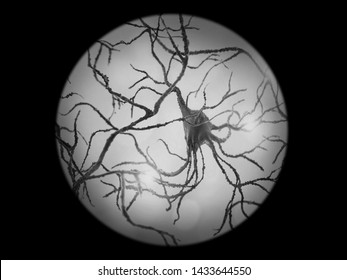 Firing Neurons Sending Signals In Microscope View - 3D Medical Illustration