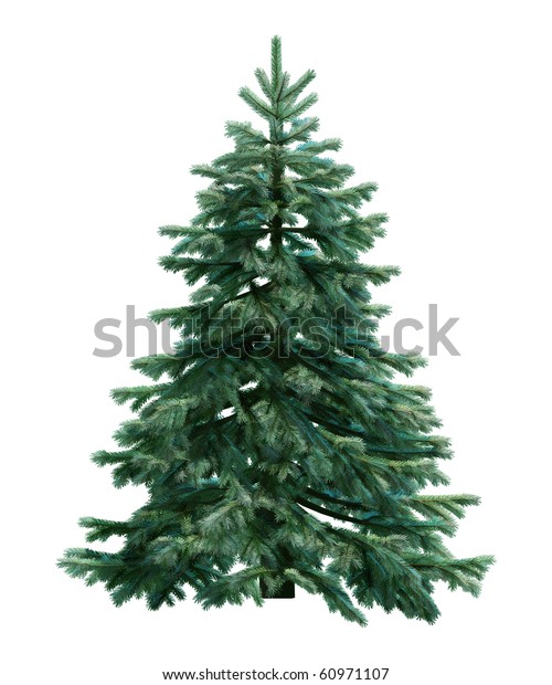 Firtree Isolated On White : illustration de stock 60971107