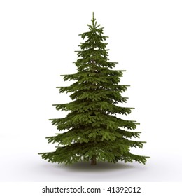 588,737 White spruce Images, Stock Photos & Vectors | Shutterstock