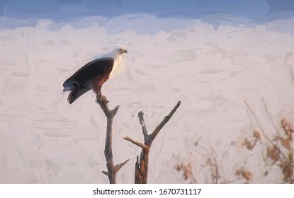 fish eagle perched in tree in botswana