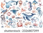 Fish and sea animals isolated on white background. Watercolor illustration cute, funny underwater creatures dolphin, shark, ocean crabs, sea turtle, shrimp. Flat cartoon illustration