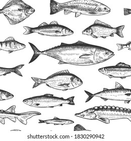 Fish Seamless Pattern. Hand Drawn Different Sea And River Fishes, Marine Underwater Life Monochrome Print Wallpaper Sketch  Texture. Perch And Anchovy, Herring And Mackerel, Seabass