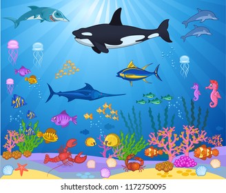 Fish Swimming Under The Sea