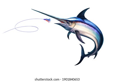 Fish sword attacks Bait Sea Swim Squids. Marlin jumps out of the water. Fishing on the open sea is big marlin fish sword.