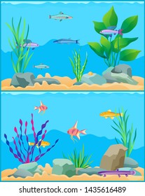 Fish Underwater Seascape Set. School Of With Non-flowering Plants Seaweed Aquatic Animals. Exotic Biodiversity Diversity Raster Illustration