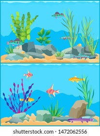 Fish Underwater Seascape Set. School Of Fish With Non-flowering Plants Seaweed With Aquatic Animals. Exotic Biodiversity Diversity Raster Illustration