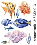 Fish watercolor isolated on a white background. Colorful set fishes hand drawing. Painting tropical fish, underwater