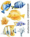 Fish watercolor isolated on a white background. Colorful set fishes hand drawing. Painting tropical fish, underwater