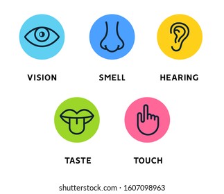 Five Human Senses Vision Eye Smell Stock Illustration 1607098963