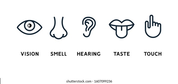 Five human senses vision eye, smell nose, hearing ear, touch hand, taste mouth and tongue. Line icons set.