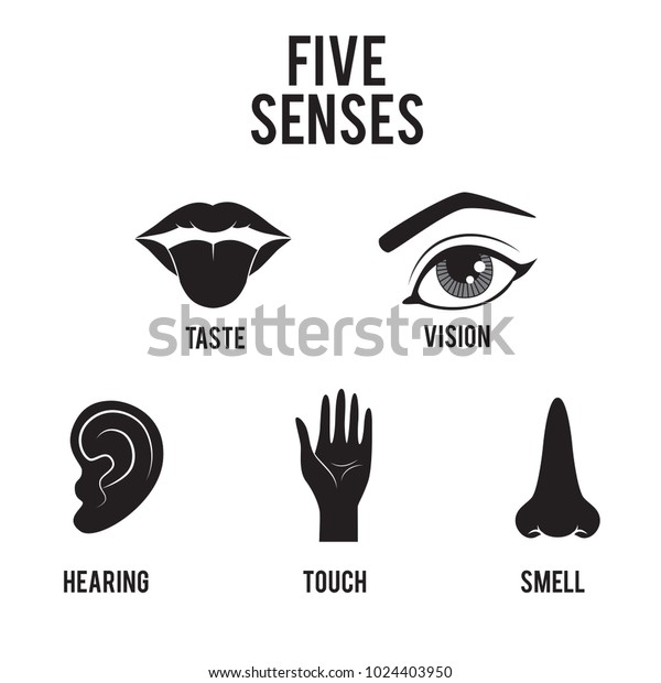 Five Senses Icon Set Isolated On Stock Illustration 1024403950 ...