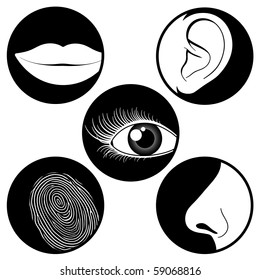 Five Senses Icons