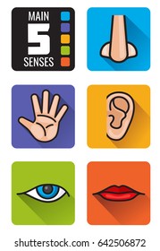 Five Senses Nose Hand Mouth Eye Stock Illustration 642506872 | Shutterstock