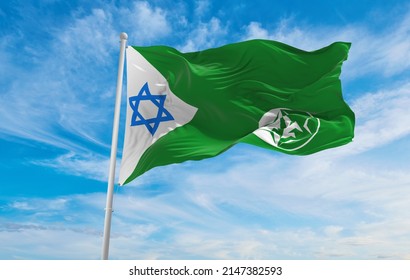 Flag Idf Military Intelligence Directorate Israel Stock Illustration