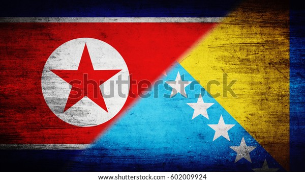 Flags of North Korea and Bosnia and\
Herzegovina divided\
diagonally