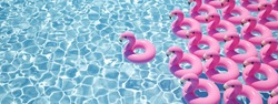 A Lot Of Flamingo Floats In A Pool. 3D Rendering