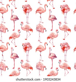 Flamingo pattern, Pink flamingo isolated background, watercolor illustration, seamless pattern