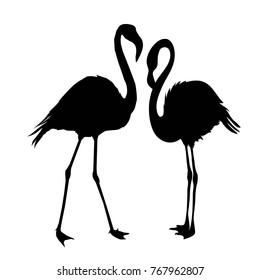Flamingo silhouette, illustration, wild, isolated, wildlife, background, set 