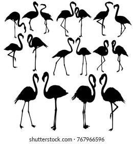 Flamingo silhouette, illustration, wild, isolated, wildlife, background