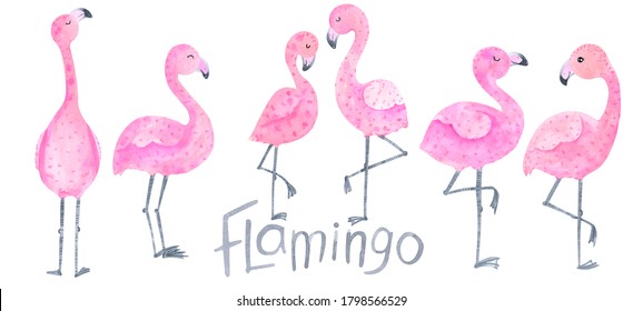 Flamingo Watercolor Pink Flamingo Clipart 