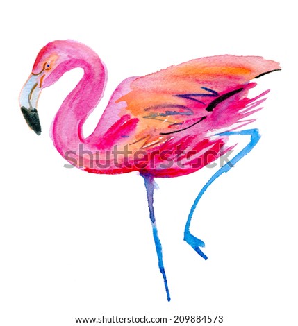 Flamingo watercolor sketch